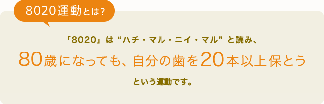 8020運動とは？